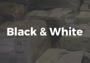 Black & White Rental